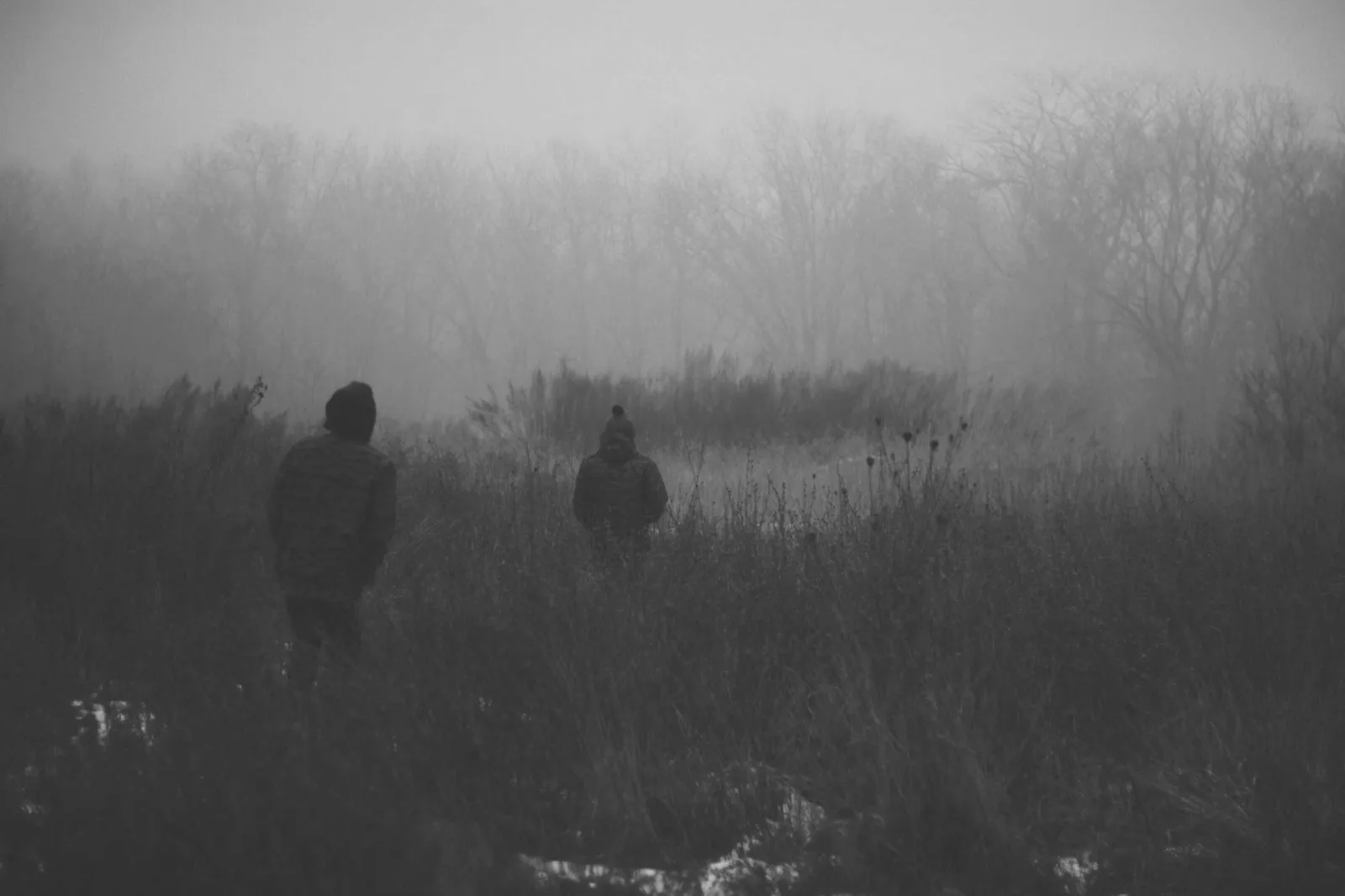 Figures in mist